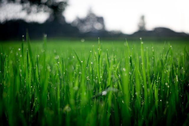 Agriculture industry